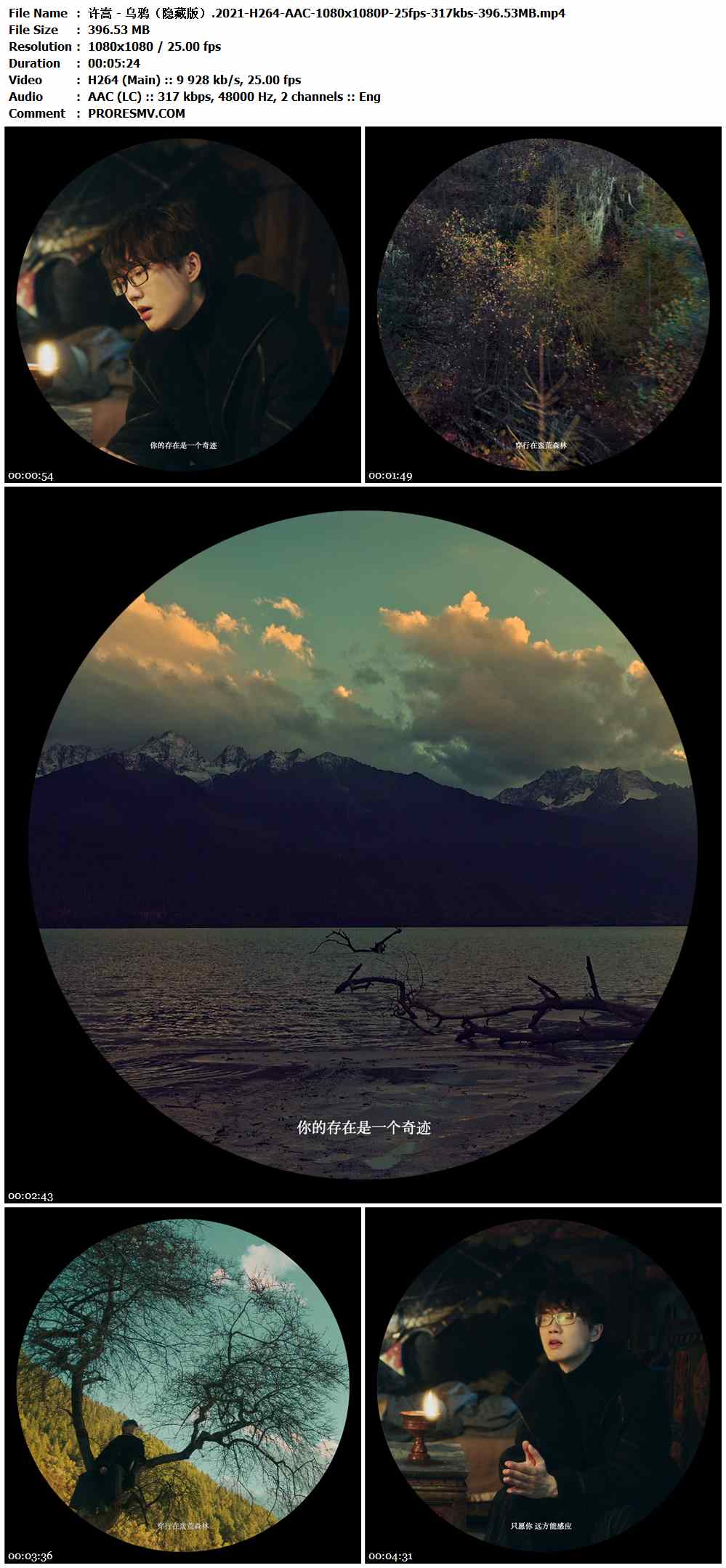 许嵩 - 乌鸦（隐藏版）.2021-H264-AAC-1080x1080P-25fps-317kbs-396.53MB官方MV_高清MV